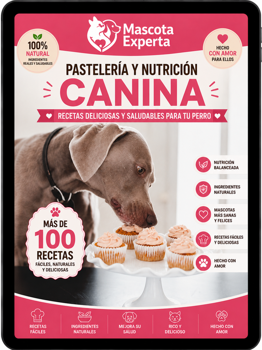 Guía Completa de Pastelería y Nutrición Canina